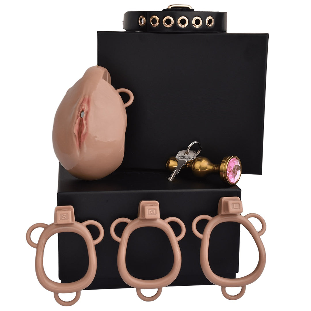 Skinxedlarning sikishini tomosha qiling